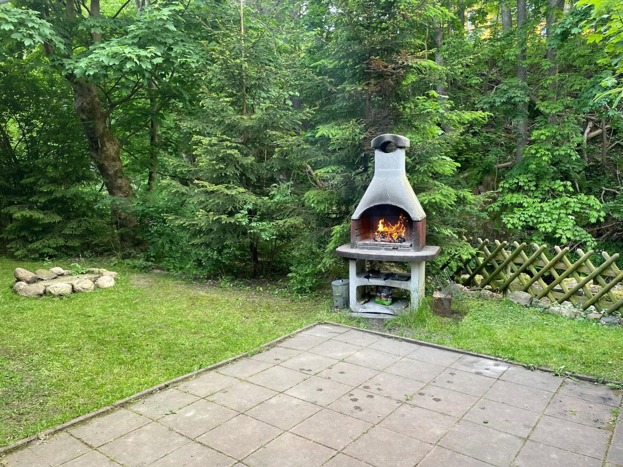 Holiday Home Hexenstieg In The Harz Mountains Elend Eksteriør bilde